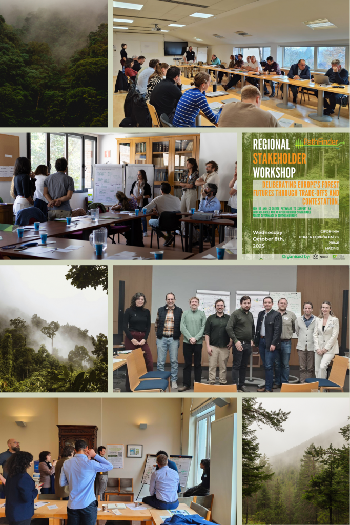 PathFinder regional stakeholders workshops