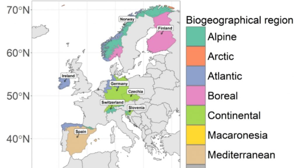 Cross-country patterns of compositional and structural forest diversity across European regions